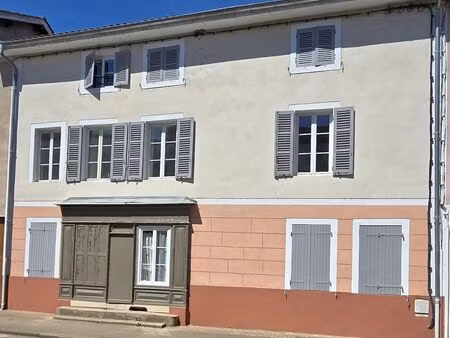 immeuble 224 m² pont-de-veyle