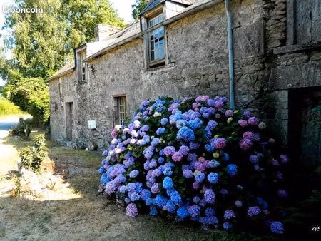 maison à vendre  ancienne à rénover
