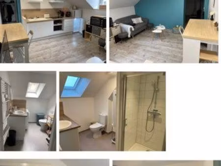 joli appartement de 36m2 refait à neuf