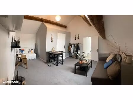 appartement 50 m²+ cave voûtée