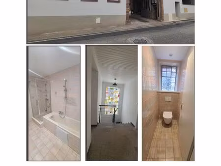 grand appartement 5 chambres + salon hochfelden