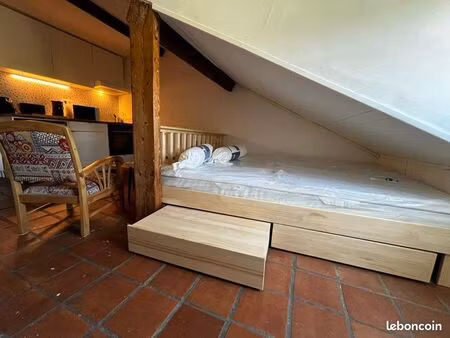 studio meublé 1 pièce 16 m² carrez (23 m² au sol)