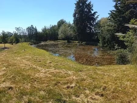 terrain de loisirs lureuil