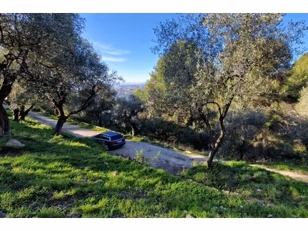 annonce terrain à vendre