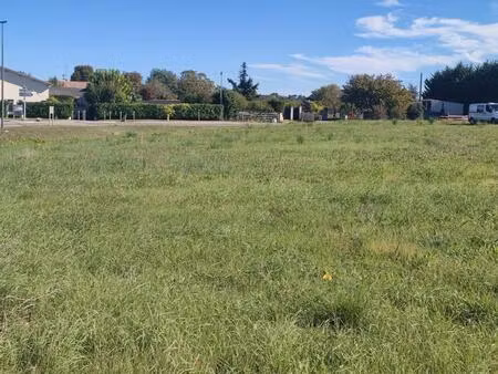 vente terrain à construire 1000 m² le taillan-médoc (33320)