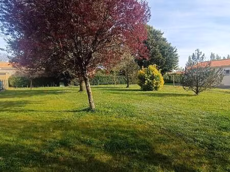 vente terrain à la chapelle-achard (85150) : à vendre / la chapelle-achard
