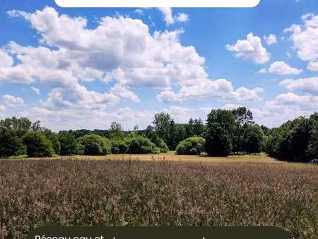 vente terrain à lieuron (35550) : à vendre / 10000m² lieuron