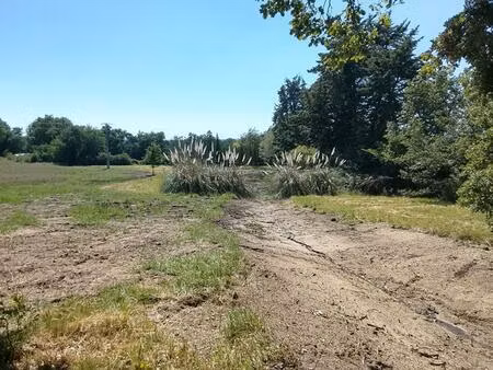 vente maison 4700 m² lureuil (36220)