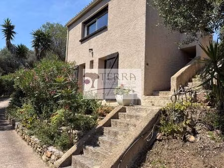 terra immobilier solenzara