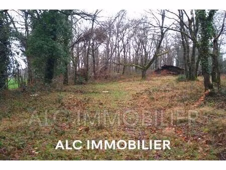 terrain à vendre