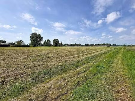 terrain à vendre à nieuwkerken-waas (lokch) - tack & de moor | zimmo