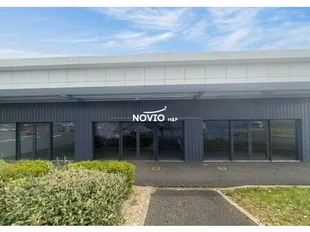 novio h&p
