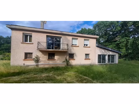 maison t5 a rafraichir avec terrain boise de 9100 m2