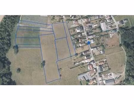 11 terrain agricole
