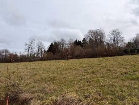 terrain constructible viabilisé à vendre