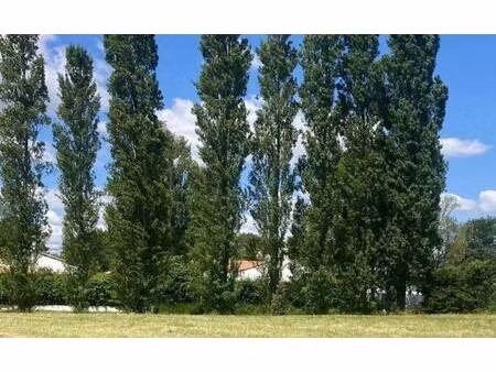 terrain constructible à vendre