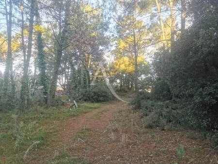 terrain constructible viabilisé à vendre