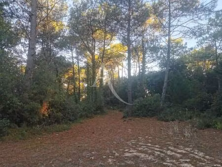 terrain constructible viabilisé à vendre