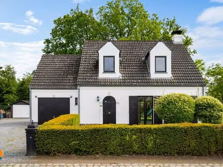 maison à louer à putte € 1.180 (loki8) - boonstra vastgoedgroep | zimmo