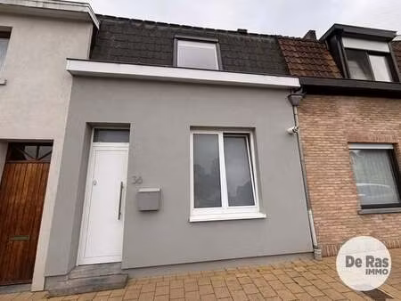 maison à louer à massemen € 995 (lokgl) - immo de ras | zimmo