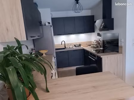 frouzins. appartement meublé t2 en rez de jardin libre 10 juin 2026