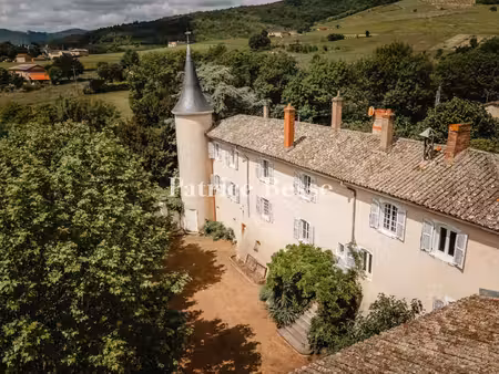 château à vendre à belleville