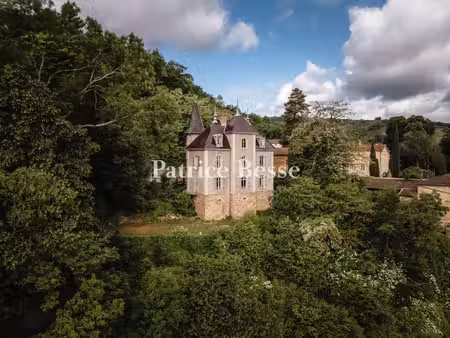 château à vendre à montmelas-saint-sorlin
