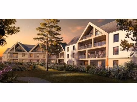 secib immobilier