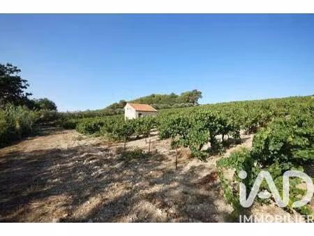 terrain à vendre