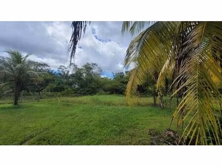 terrain constructible à vendre