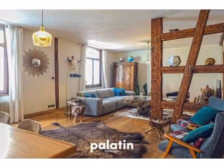 immobiliere le palatin