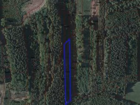 parcelle de bois à remagne