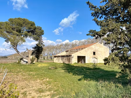 ancienne ferme viticole a restaurer de 383 m2 de surface tot