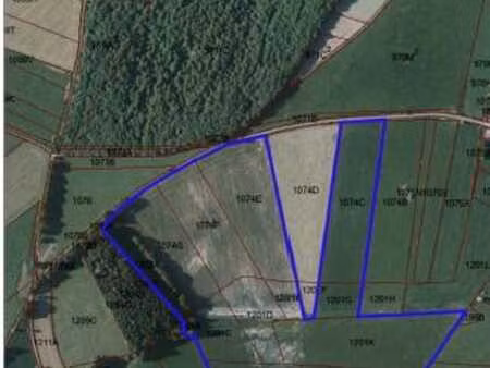 terrains agricoles et boisés entre morhet et tillet