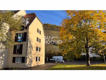 à louer : charmant appartement de 2 pièces à thann