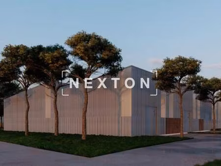 nexton immobilier