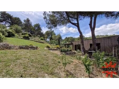 vives immobilier