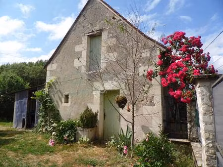 nestenn loches