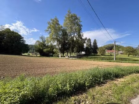 terrain constructible viabilisé à vendre