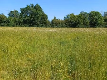 terrain constructible à vendre