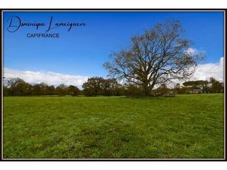 terrain constructible à vendre