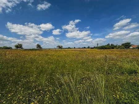 terrain constructible viabilisé à vendre