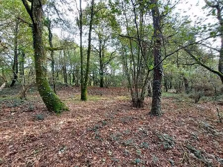 terrain à vendre