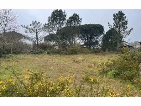 terrain constructible à vendre