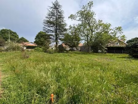 terrain constructible à vendre
