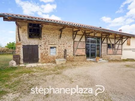 stephane plaza immobilier macon