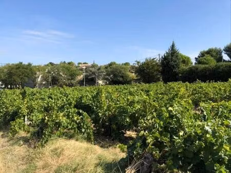 terrain constructible viabilisé à vendre