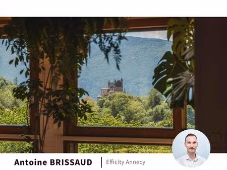 efficity antoine brissaud