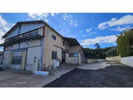 nidéal immobilier