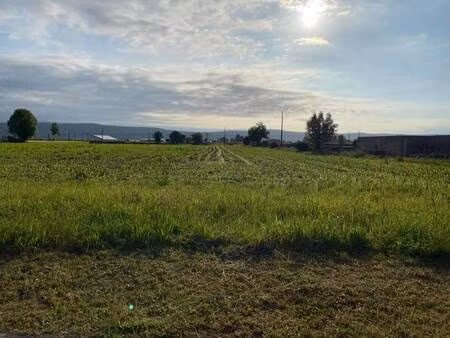 terrain constructible viabilisé à vendre